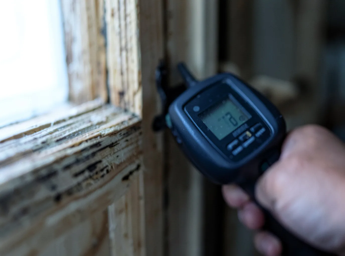 Moisture Inspection And Documentation in Delaplaine, AR